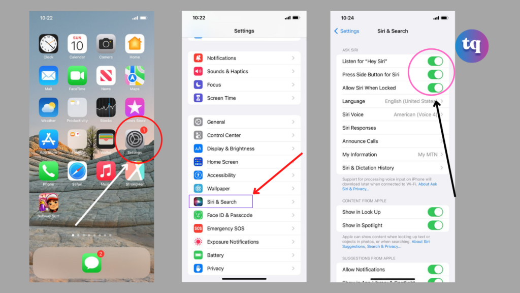  Ask Siri using voice command