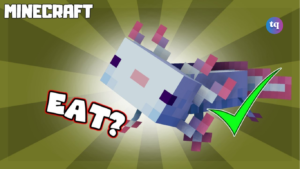 What do axolotls eat in minecraft