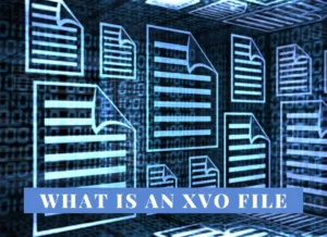 XVO File