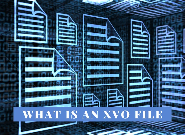 XVO File