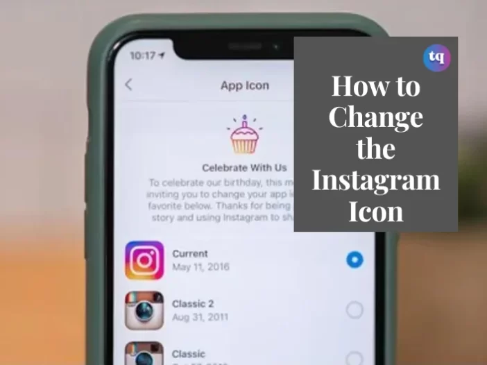 change the instagram icon