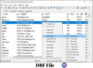 dbf file