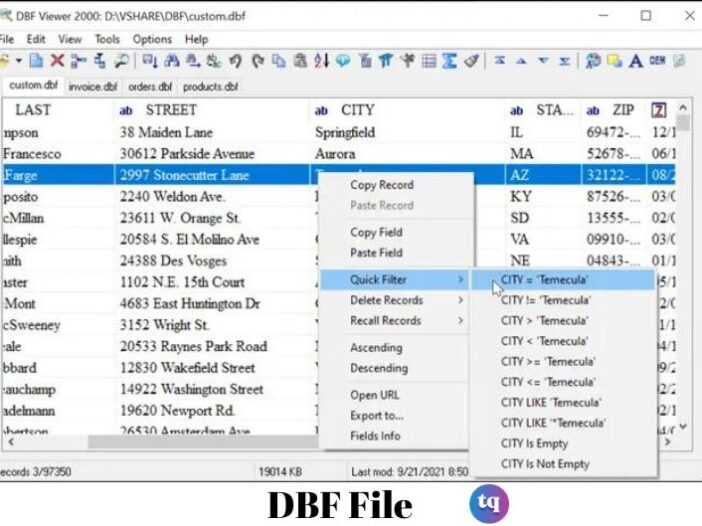 dbf file