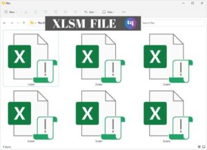 xlsm