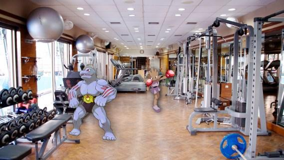 Gym battles