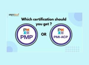 difference between PMP and PMI