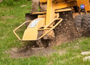 stump remover