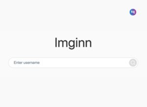 imginn