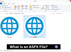.aspx