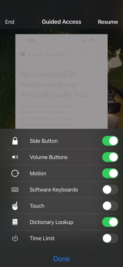customize guided access limits on iphone